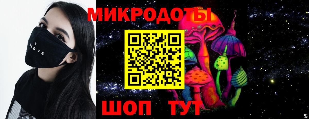 Псилоцибиновые грибы Psilocybine cubensis Североуральск