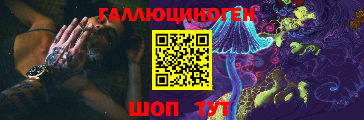 Псилоцибиновые грибы Psilocybe  Галлюциногенные грибы прущие грибы  Североуральск  Вход с VPN 
